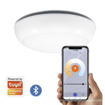 3CCT 16w  IP54 smart ceiling light